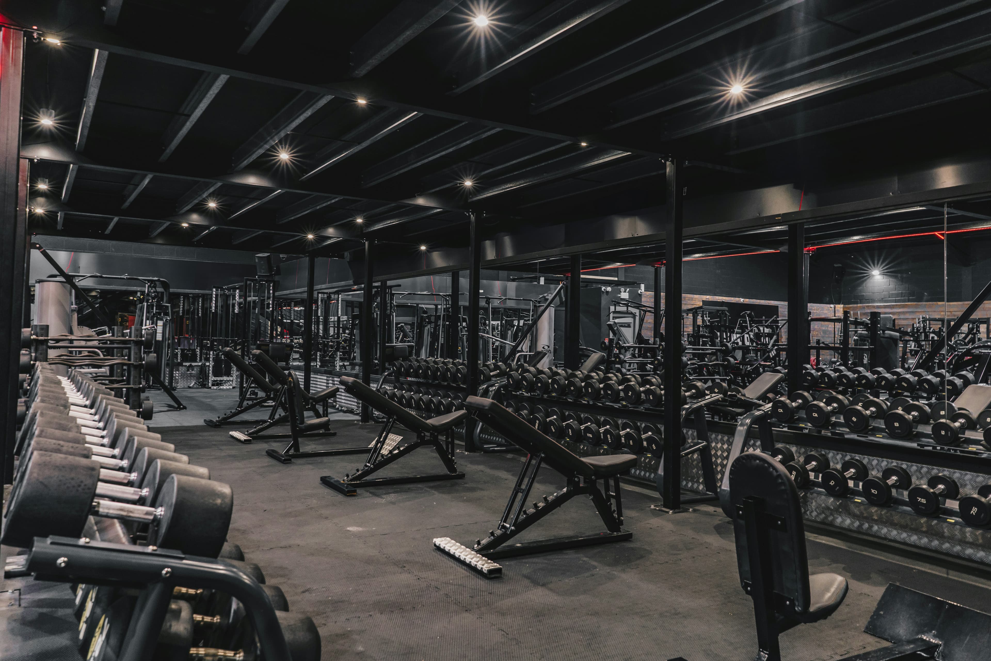 Free Weights vs. Machines: Which Builds Muscle Faster?